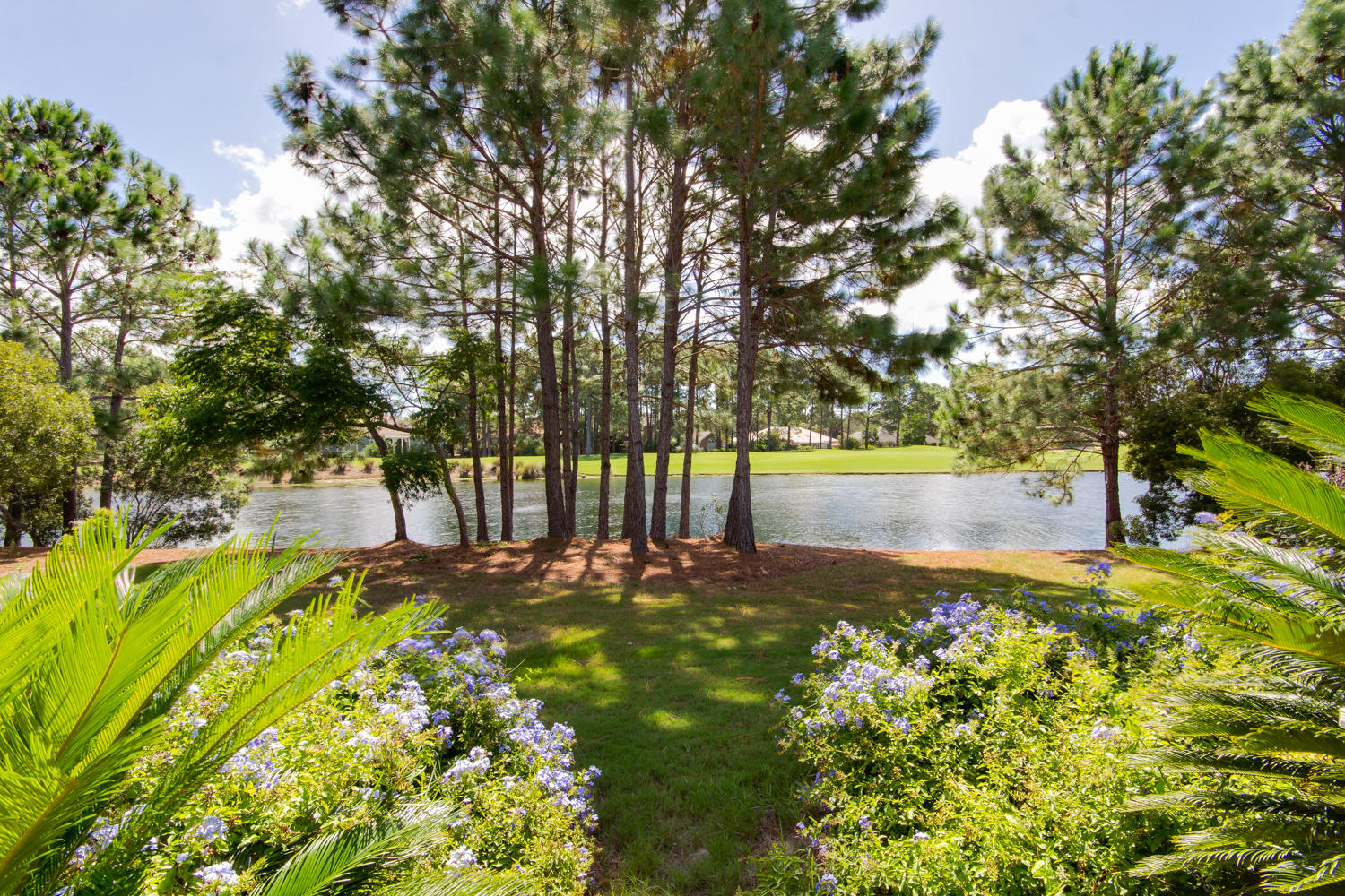 LAUREL GROVE - Residential