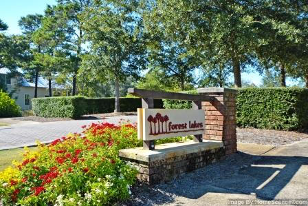 Forest Lakes - Residential