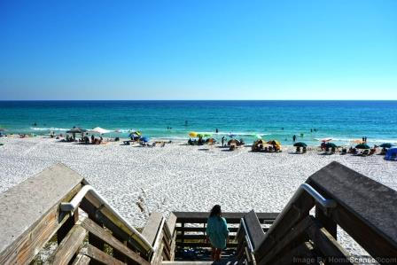 Forest Lakes - Residential