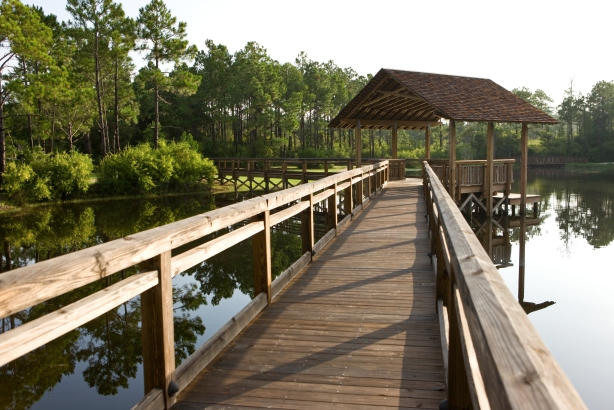 Forest Lakes - Residential