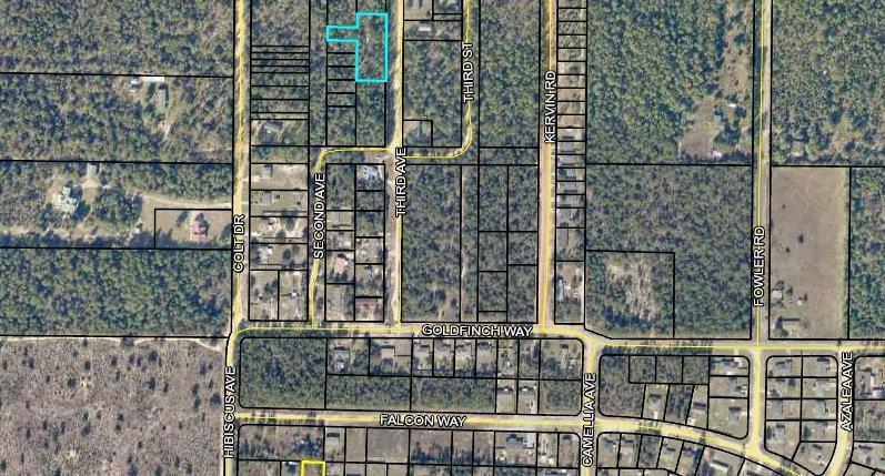 SOUTH HOLLEY GROVE - Land