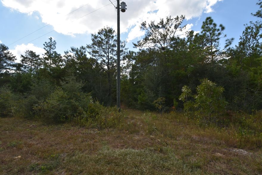 This property consists of Ten (10) 25' X 110' lots; 8 are on 3rd Avenue and 2 are on 2nd Avenue. You can have several building sites, possibly 3. The county does not maintain this road. The Zoning and Future Land Use are Agricultural. Mobile Homes are allowed. Please verify availability of utilities. Electricity is available. Must put in well & septic system.