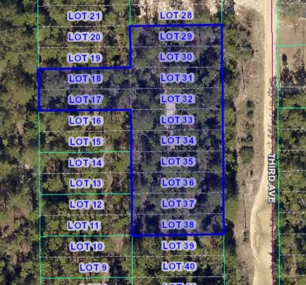 SOUTH HOLLEY GROVE - Land