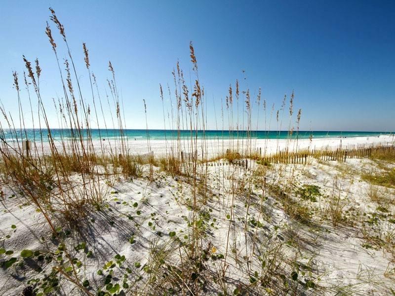 WATERSCAPE - Residential