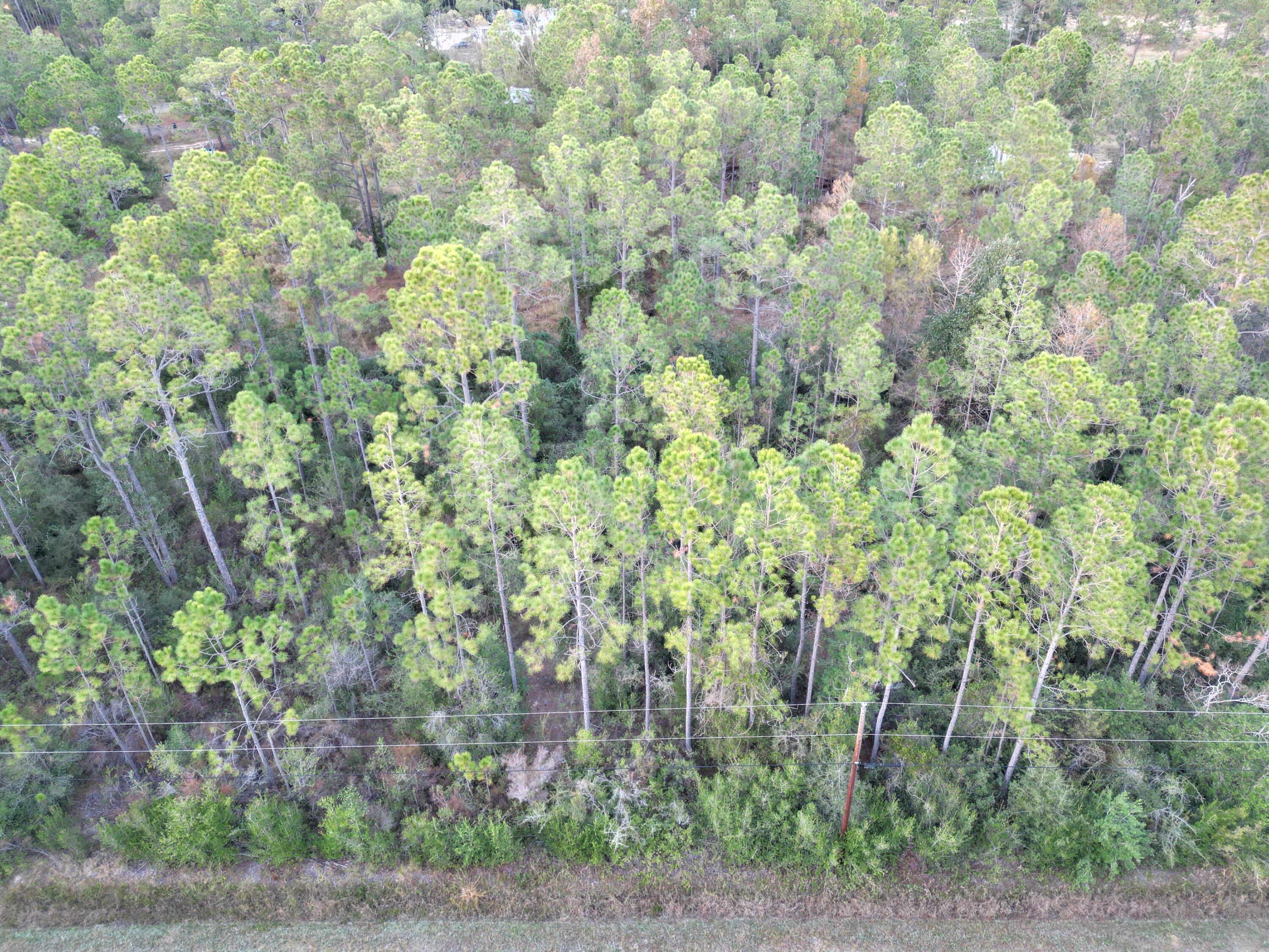 Build your new home on this .36 ACRE lot in a nature lovers paradise in a secluded community just steps from the Blackwater Bay where you can enjoy fishing and water activities. Only 10 minutes from I-10 and 15 minutes to downtown Milton, FL shopping. In 20-25 minutes you can enjoy all the activities of Pensacola and the Gulf Coast Beaches. . No Home Owner Association fees. Flood Zone X. BRING ALL OFFERS