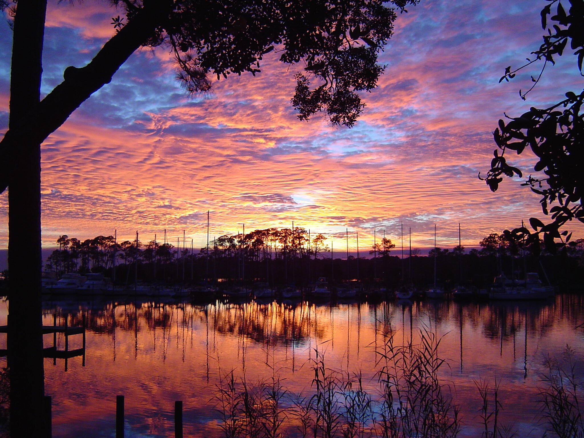 LIVE OAK SHORES - Residential
