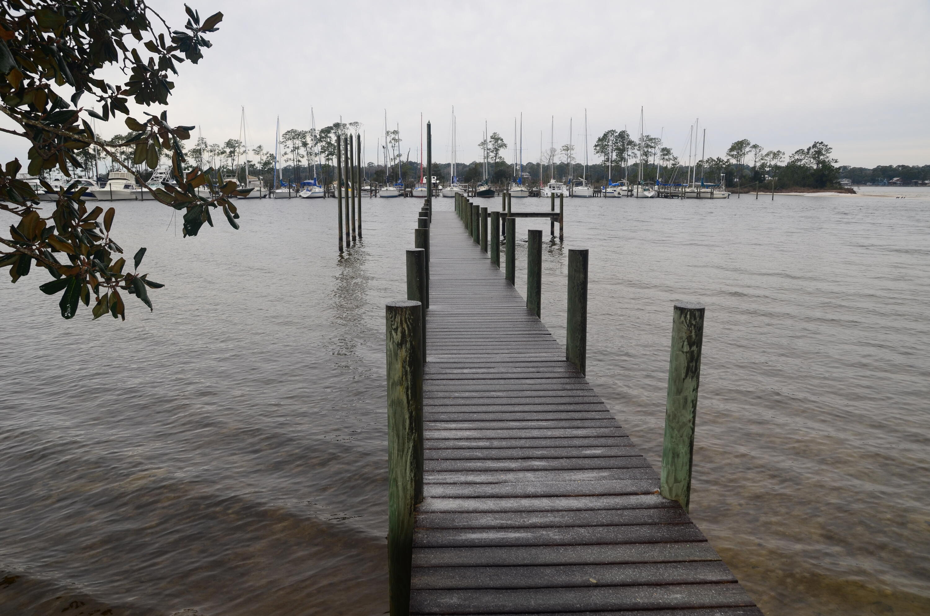LIVE OAK SHORES - Residential
