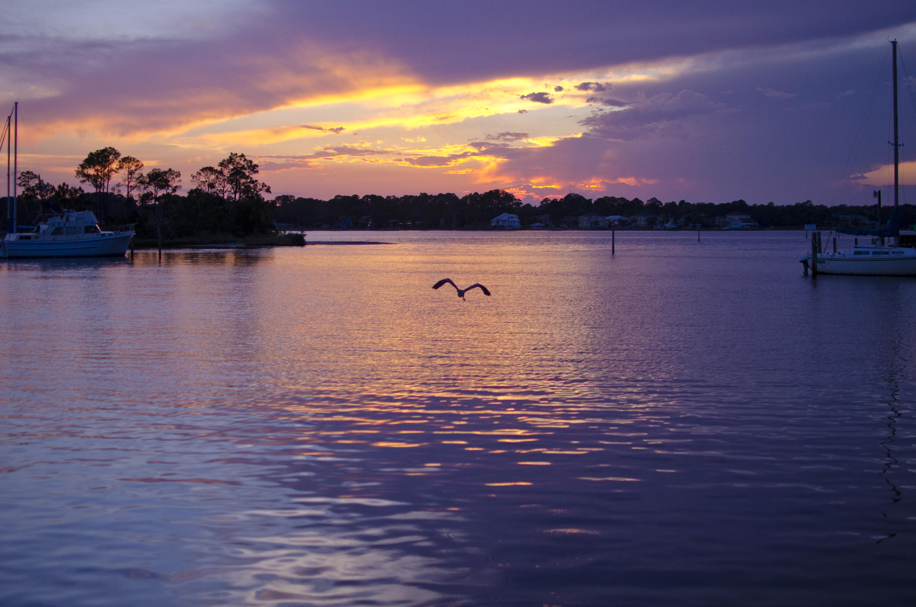 LIVE OAK SHORES - Residential