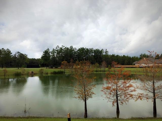 Brighton at Hammock Bay - Residential