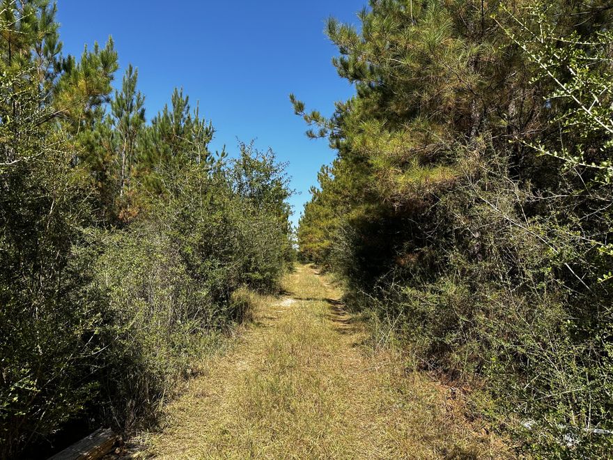 38+/- Acres of Beautiful Prime land!  Bring your hunting gear! Zoned agricultural with no HOA or restrictions.
