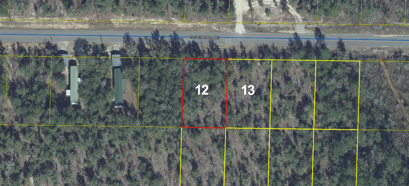 Wooded lots on a paved road in the fast growing Mossy Head area, approximately 10 minutes from historic downtown DeFuniak Springs, voted the Best Small Town in Florida by MainStreet USA.