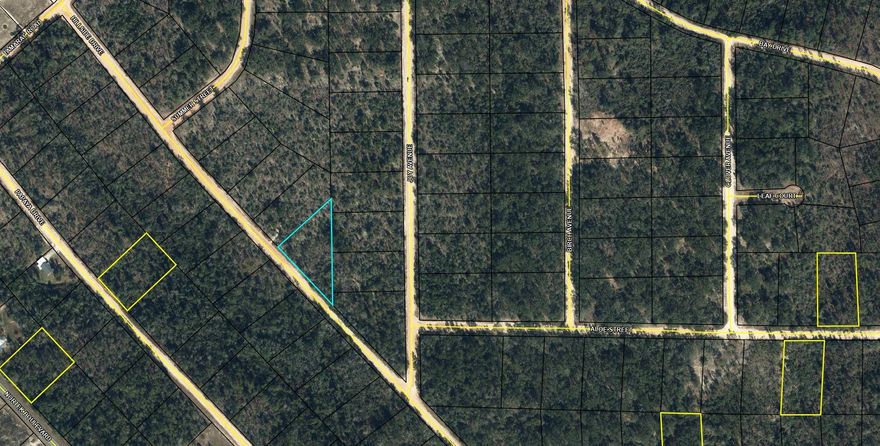 Large 1.091 acre lot in Compass Lake in the Hills. There is a voluntary HOA of $135 a year, but what a great price for all the amenities that are included such as: access to 2 lakes for fishing, tennis, horse stables / riding, rental cabins, RV spots, boat rentals, clubhouse, and a golf range. Being an all-sports lake, enjoy water skiing, tubing, jet skiing, boating, sailing, kayaking & swimming. No need to worry about lunch while out on the water when you have a boat accessible shoreline restaurant. This location is great for someone who enjoys nature and a short drive to the beach since it is located half way between Panama City And Dothan. The area is rich in historical significance, with many restored antebellum plantation homes open for tours or as bed-and-breakfast