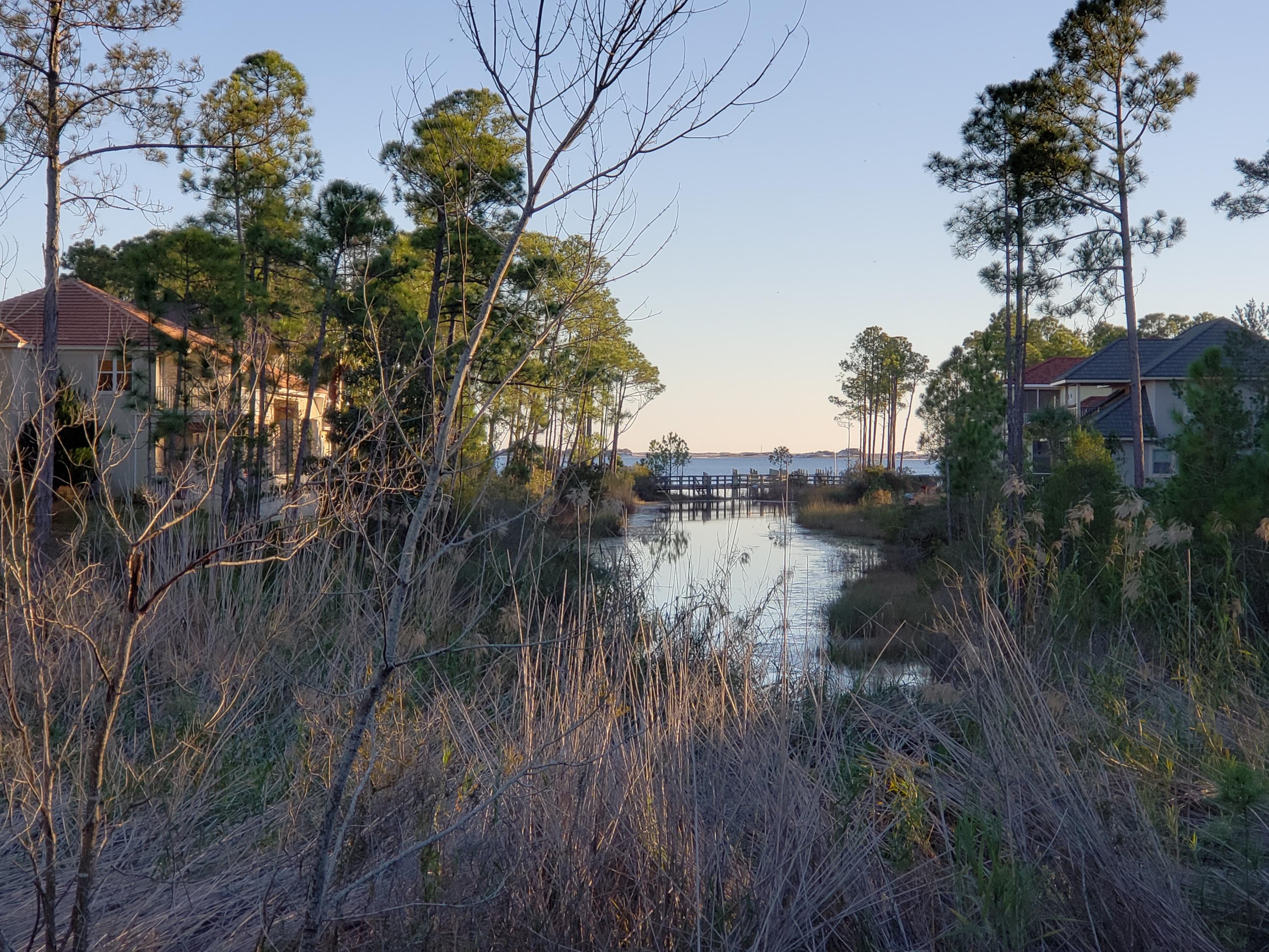 PALMETTO LAKE PRESERVE - Land