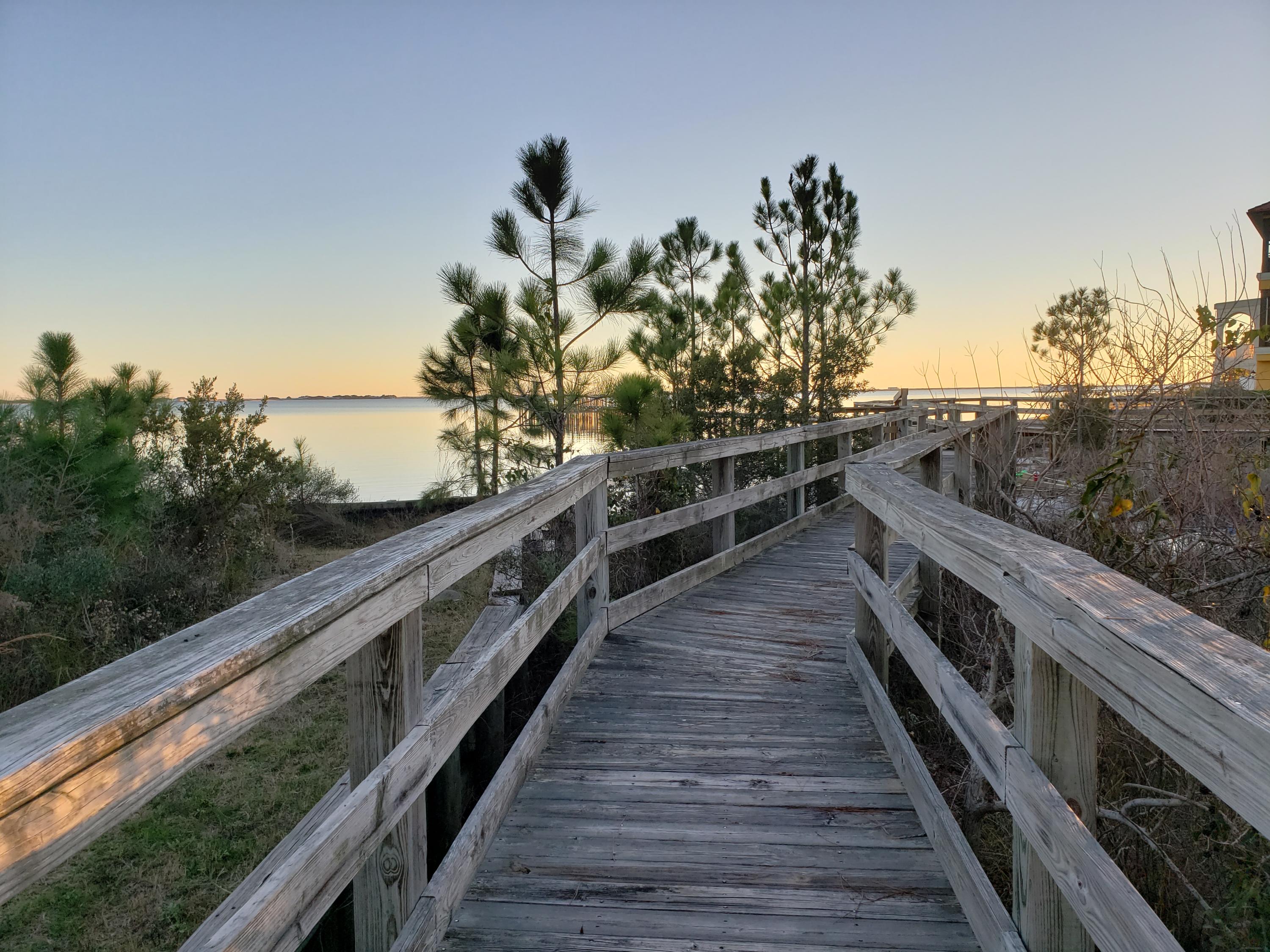 PALMETTO LAKE PRESERVE - Land