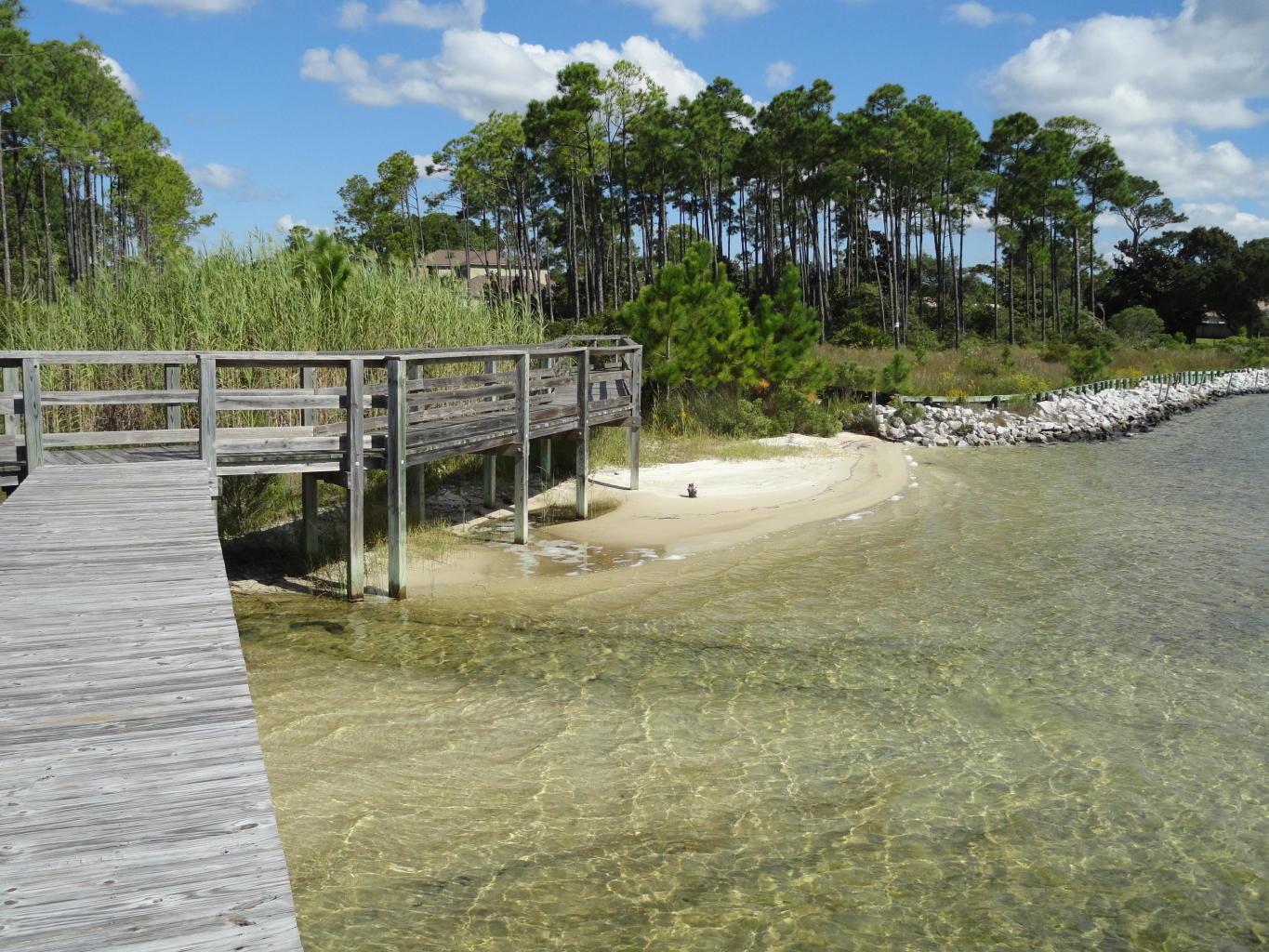 PALMETTO LAKE PRESERVE - Land