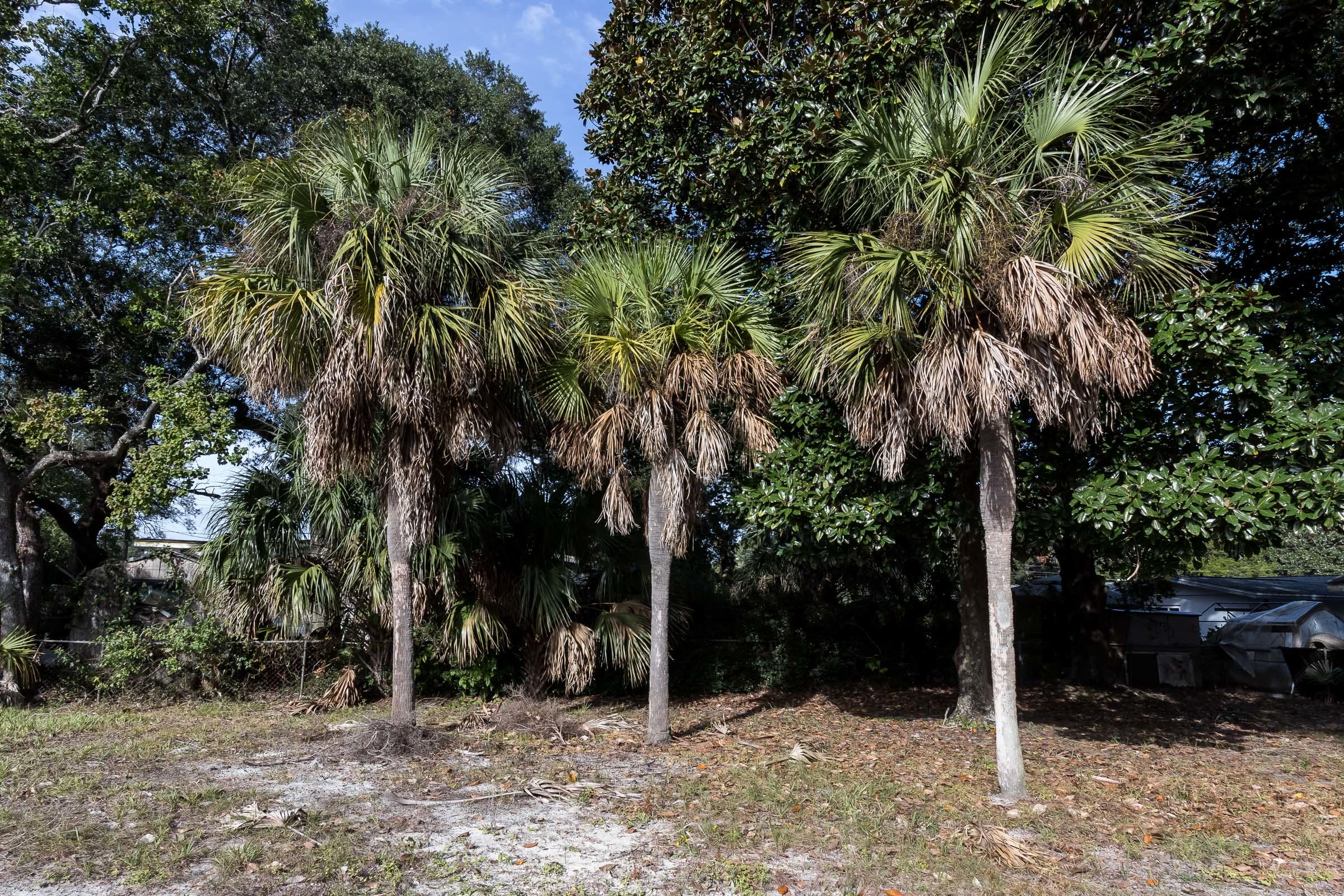 OAK TREE PARK - Residential