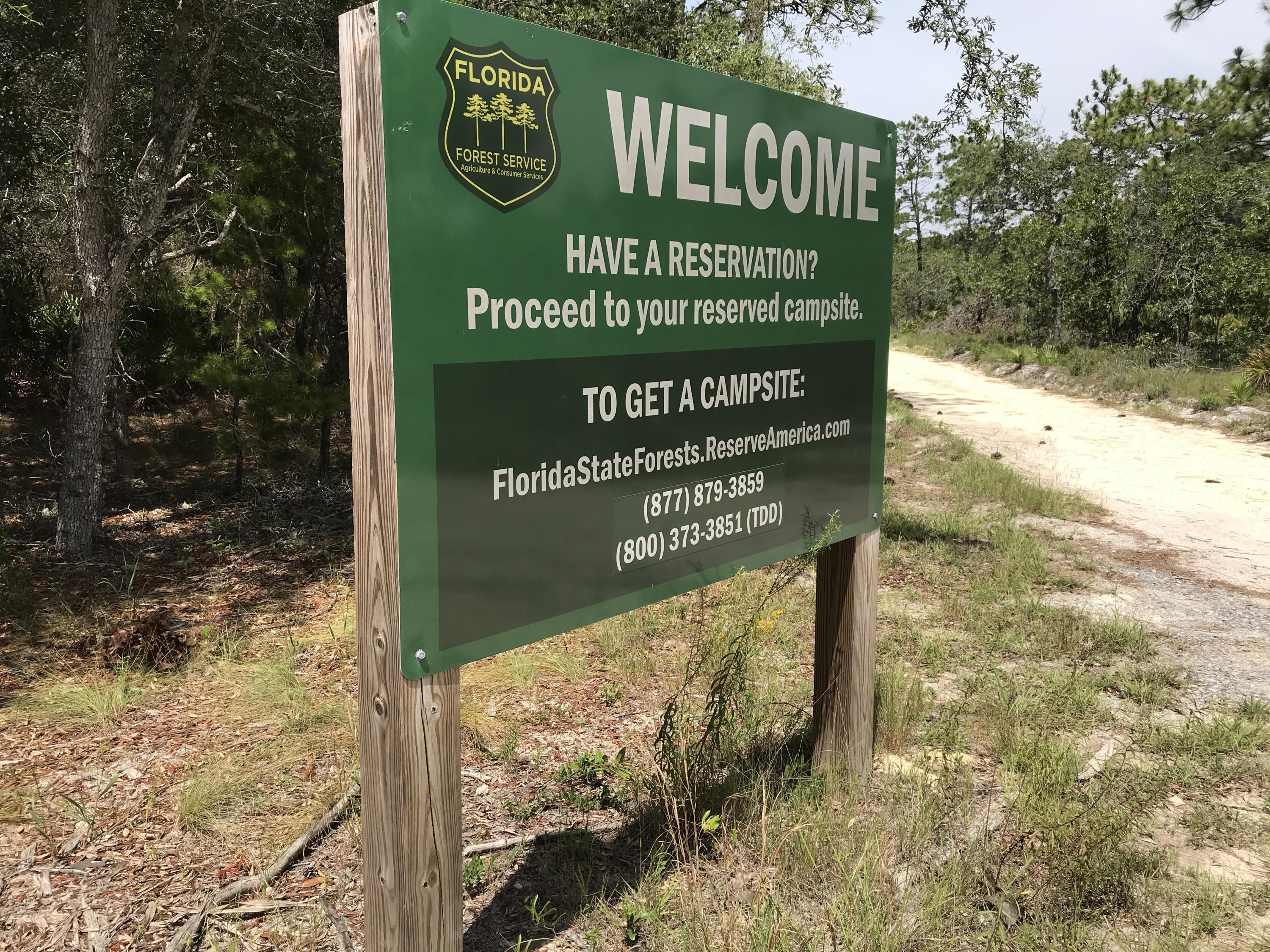 CASSINE GARDENS T/H PH 1 - Residential