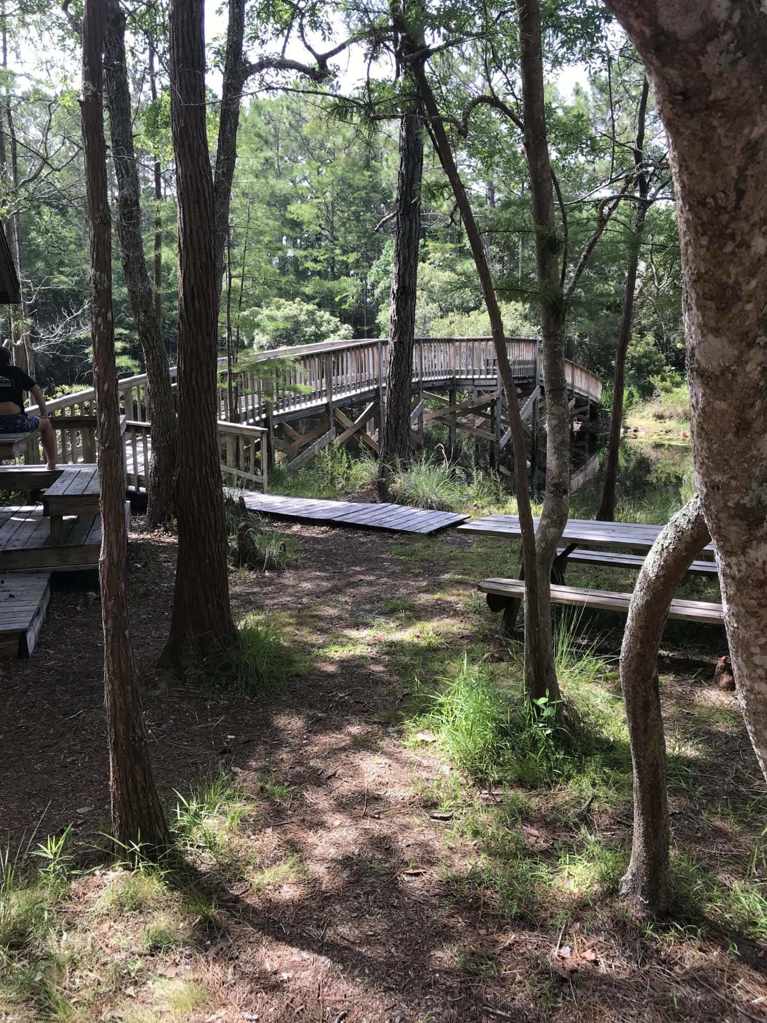 CASSINE GARDENS T/H PH 1 - Residential