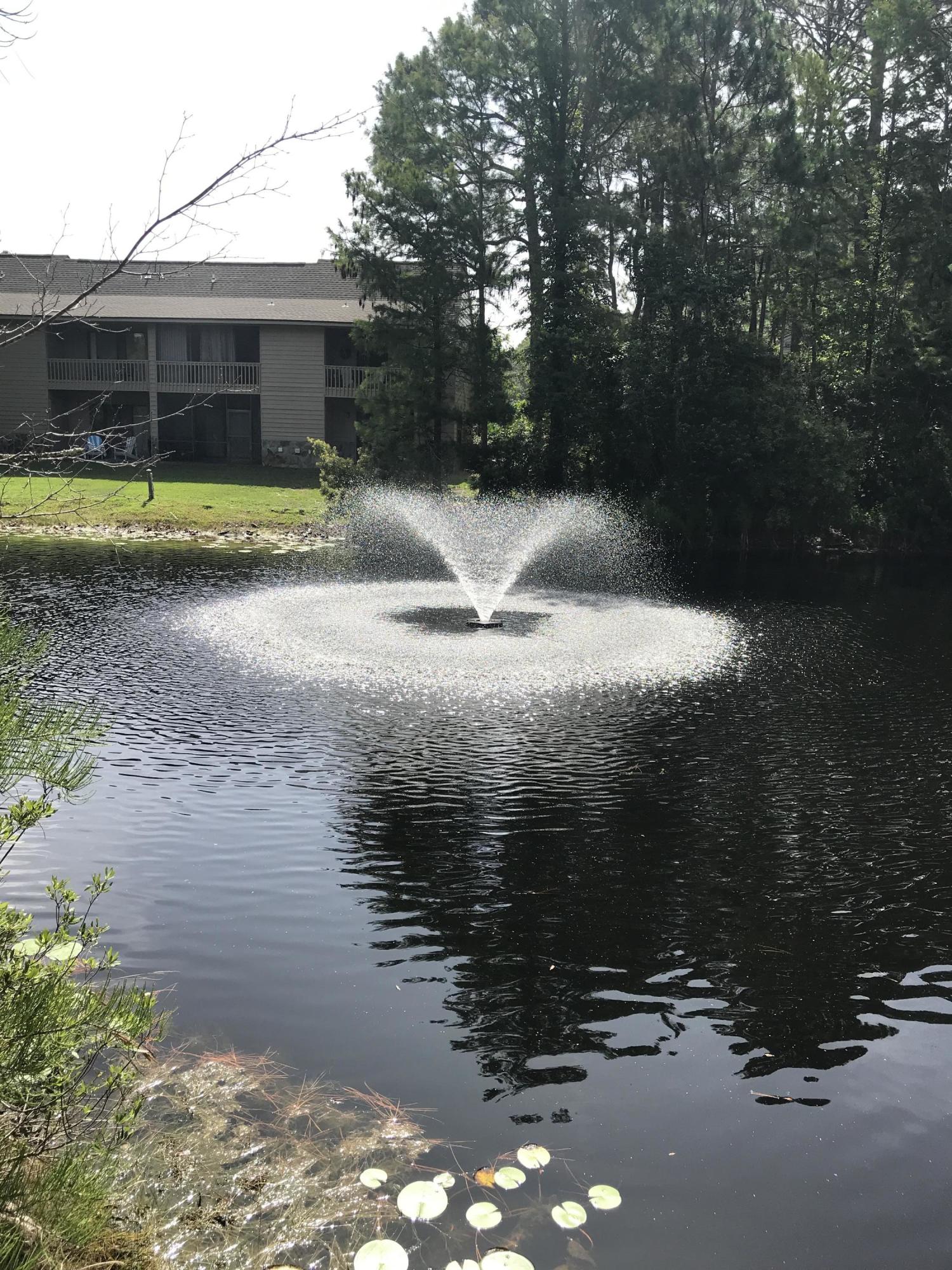 CASSINE GARDENS T/H PH 1 - Residential