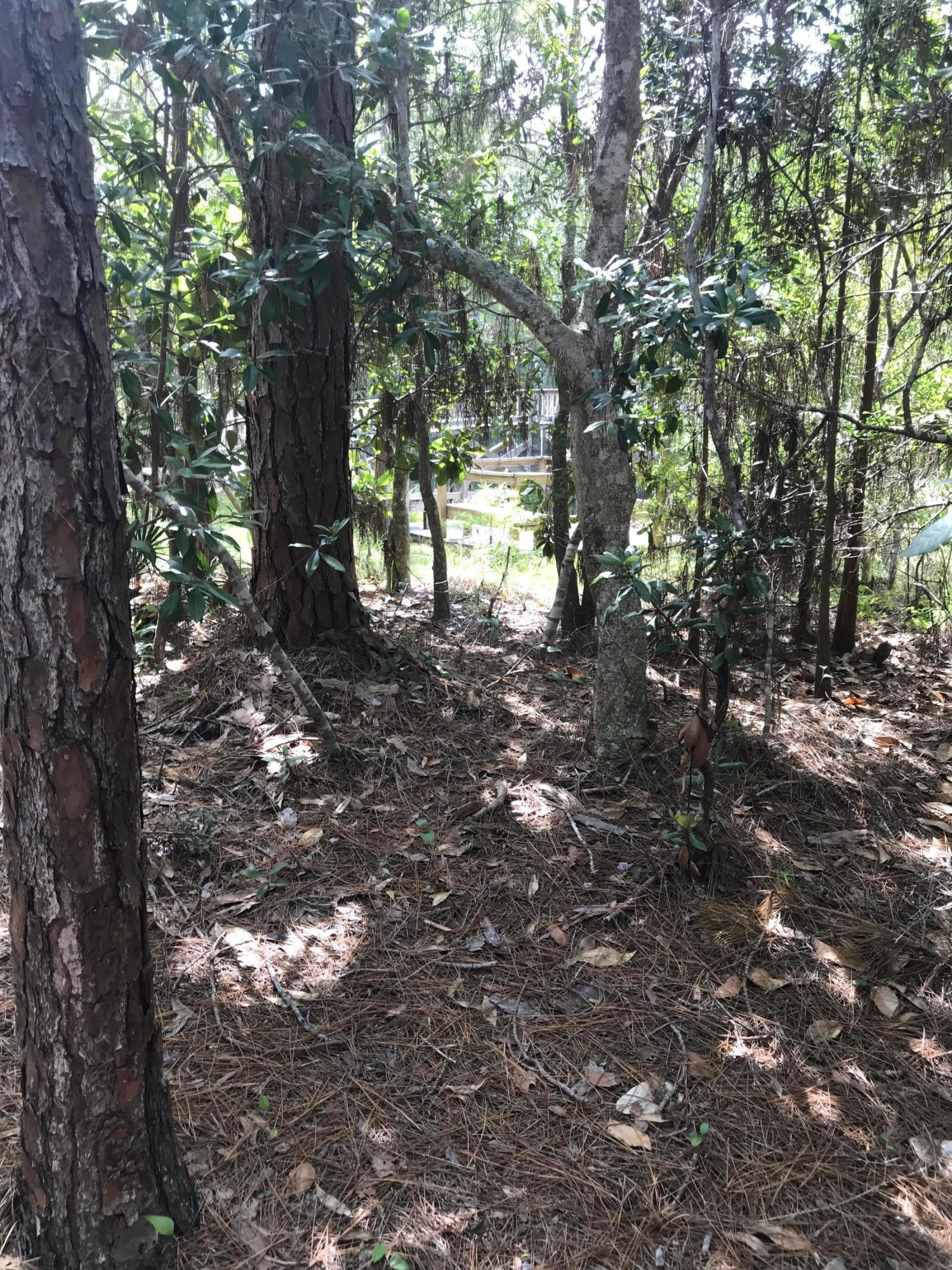 CASSINE GARDENS T/H PH 1 - Residential