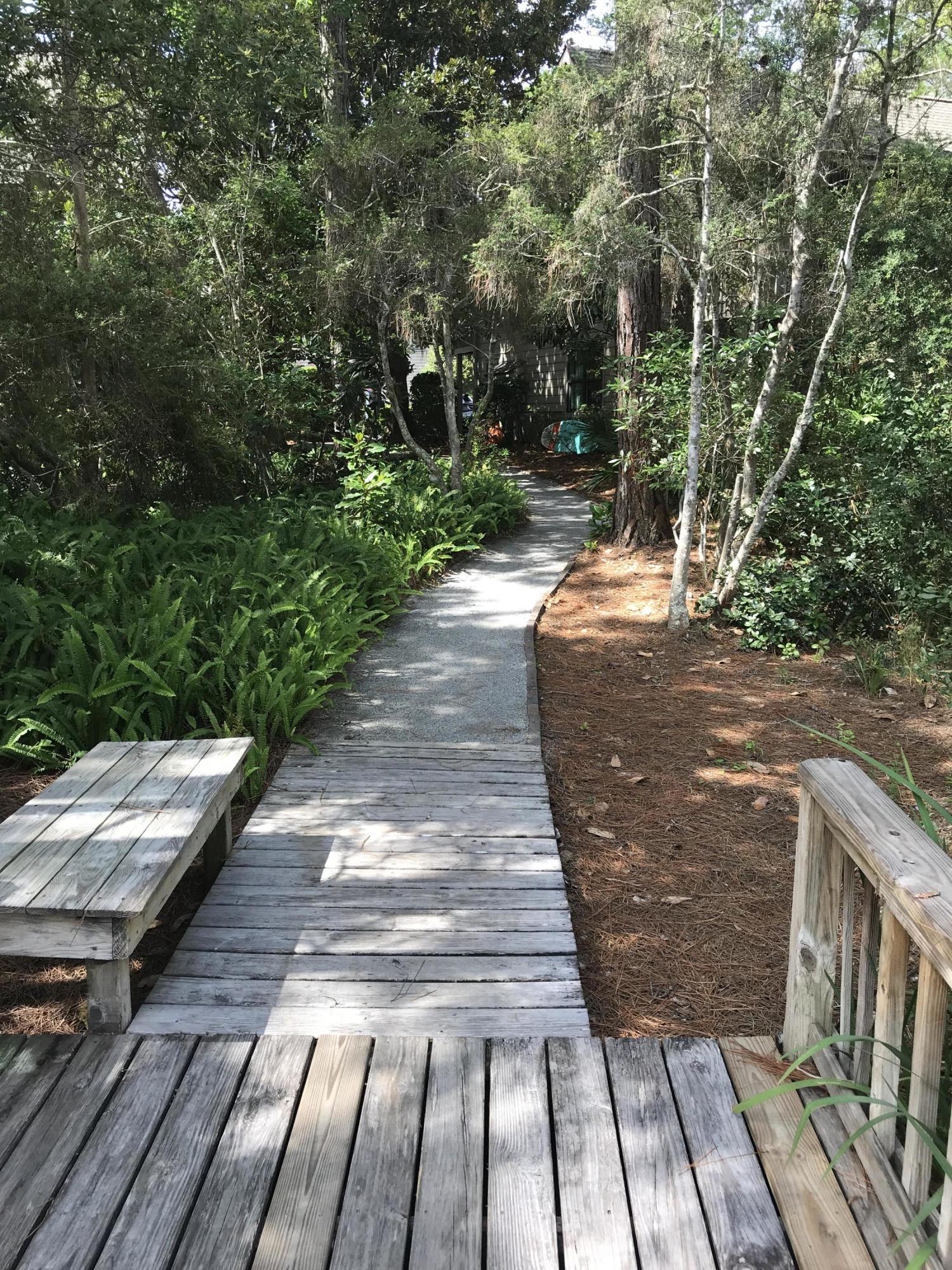 CASSINE GARDENS T/H PH 1 - Residential