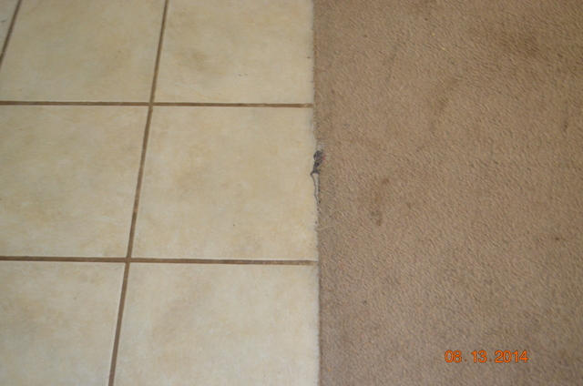 KAM AKERS - Residential