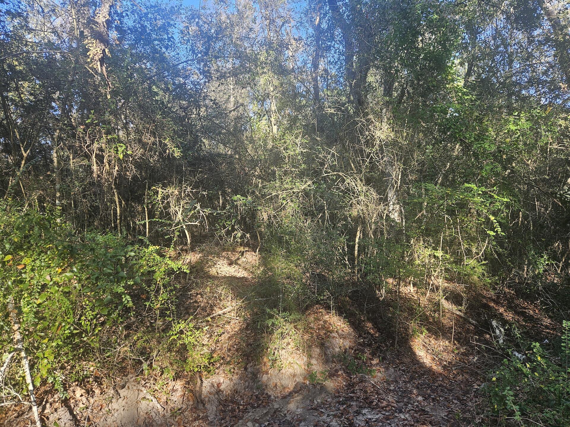 This beautiful 1/2 acre lot in Freeport, is located just a couple of blocks from the Elementary school, as well as shopping and restaurants.  It's an ideal place to build your new home.