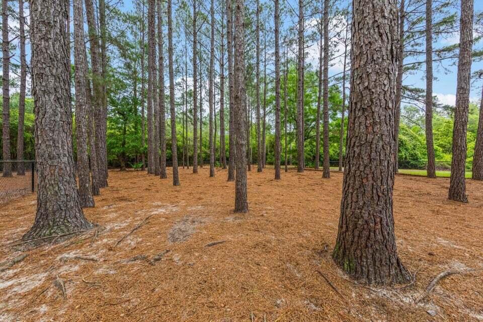 HAMMOCK BAY - FIREFLY - Residential