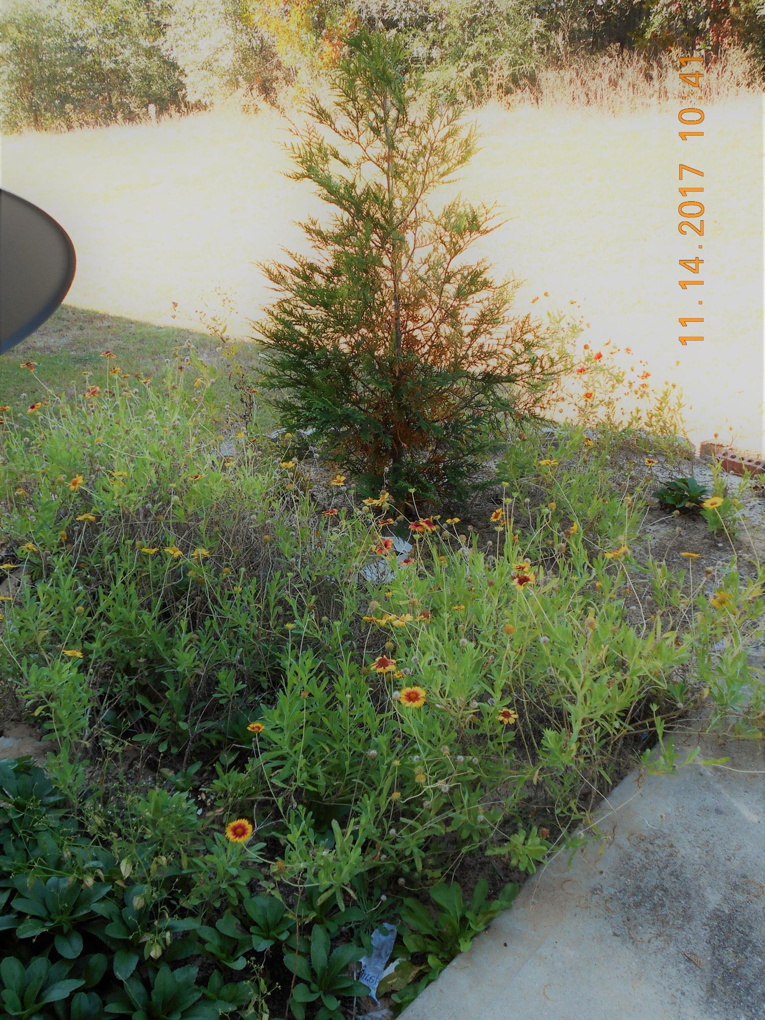 ROLLING PINES - Residential