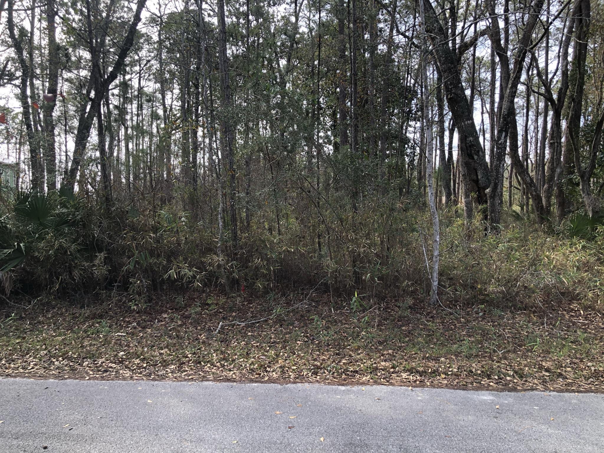 CROSS CREEK SHORES - Land