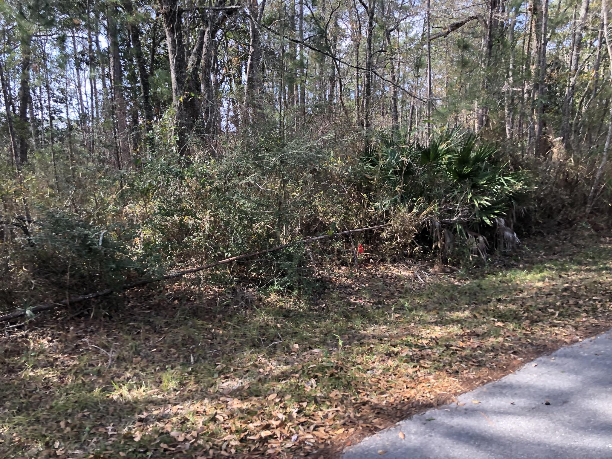 CROSS CREEK SHORES - Land