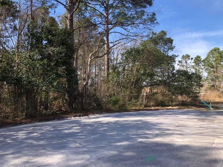 Rectangular lot (approx. 170 ft x 270 ft) on Lakeview St, that also fronts W. Pine St!   See Prop Appraiser view of the lot in Docs for layout and to see the approx 1/3 of the Northeast side is wetlands, according to the flood zone overlay.  Survey is available.  Buyer to do their due diligence about wetlands and mitigation.  Call to send your offer, today!  Cheers!