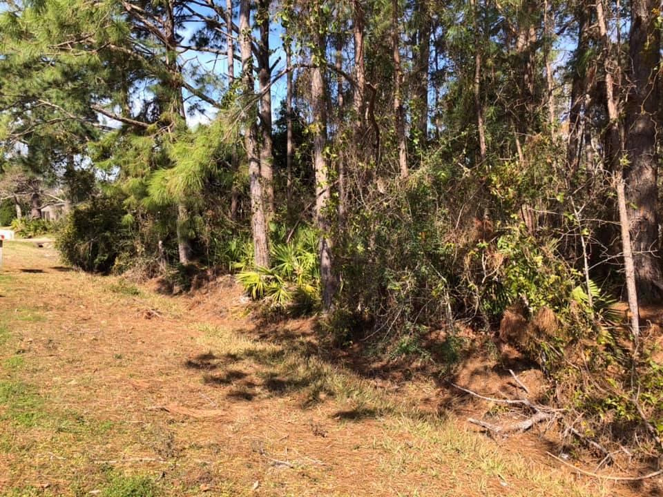 WYNNEHAVEN BEACH ESTATES - Land