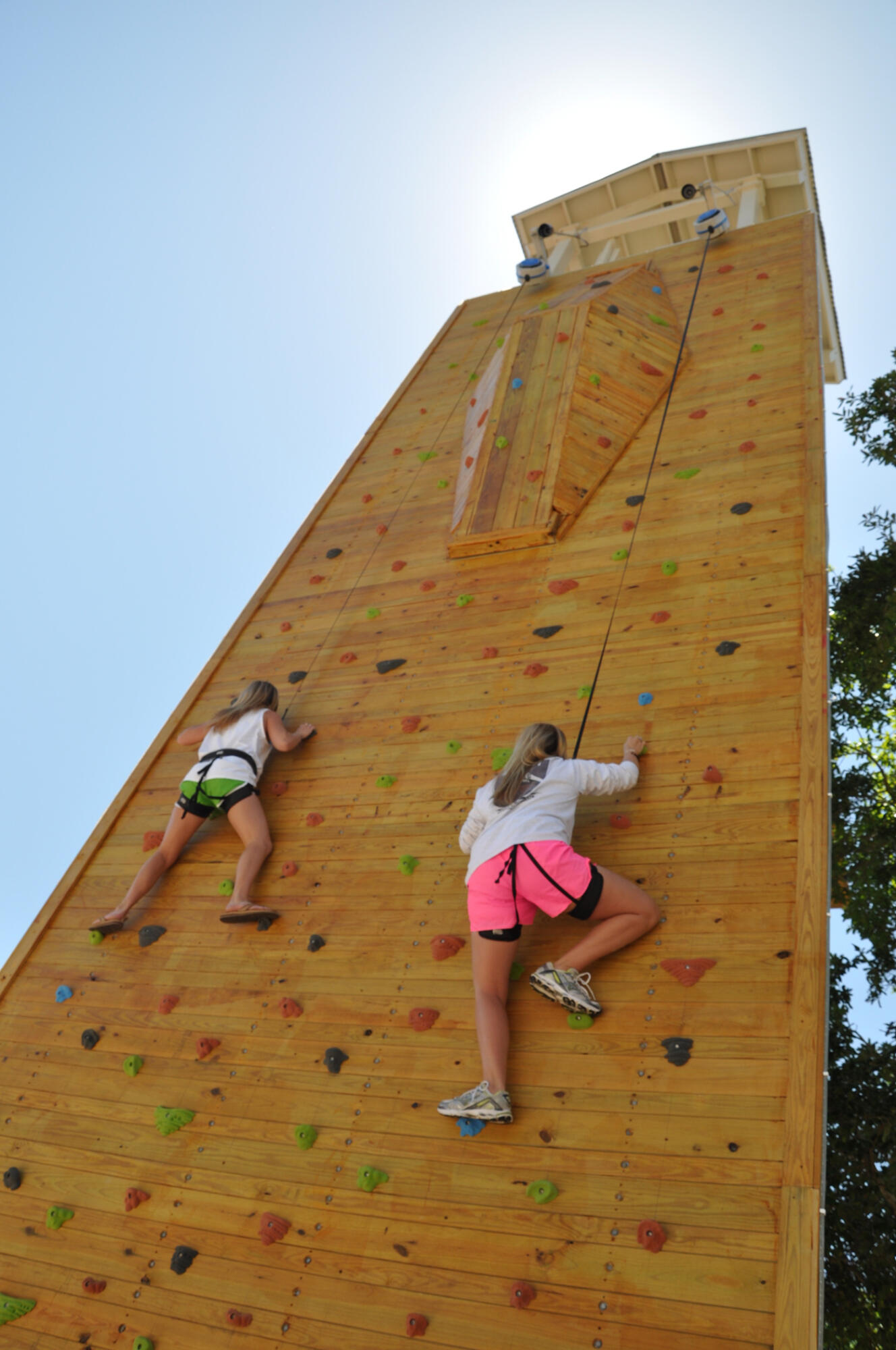 ELATION - Residential