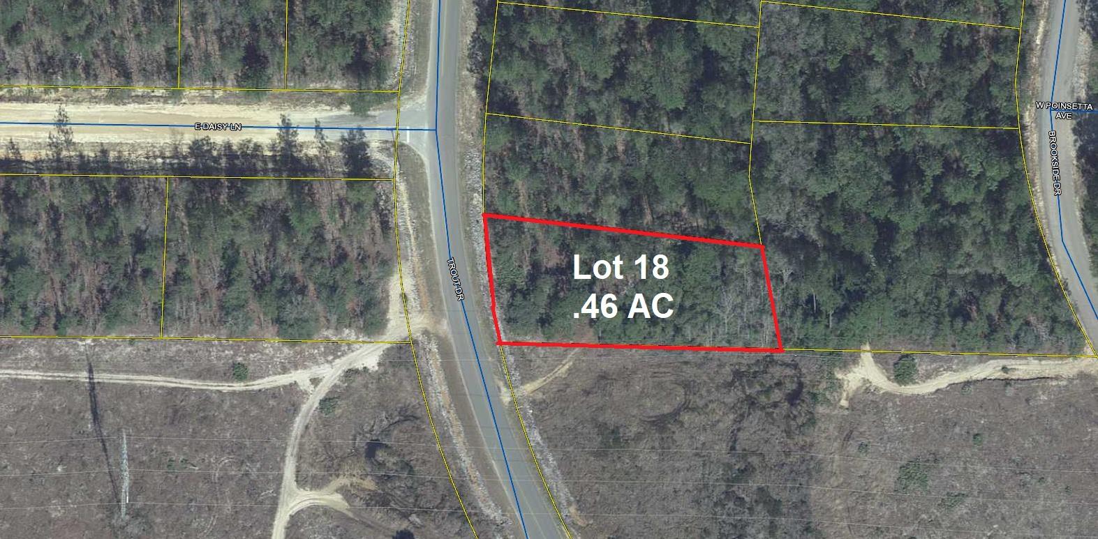 Almost 1/2 ac lot (.46) on paved road in growing Mossy Head area. Mobile homes allowed. No utilities currently on property. Public water is available through Mossy Head Water Works. Septic would be required.