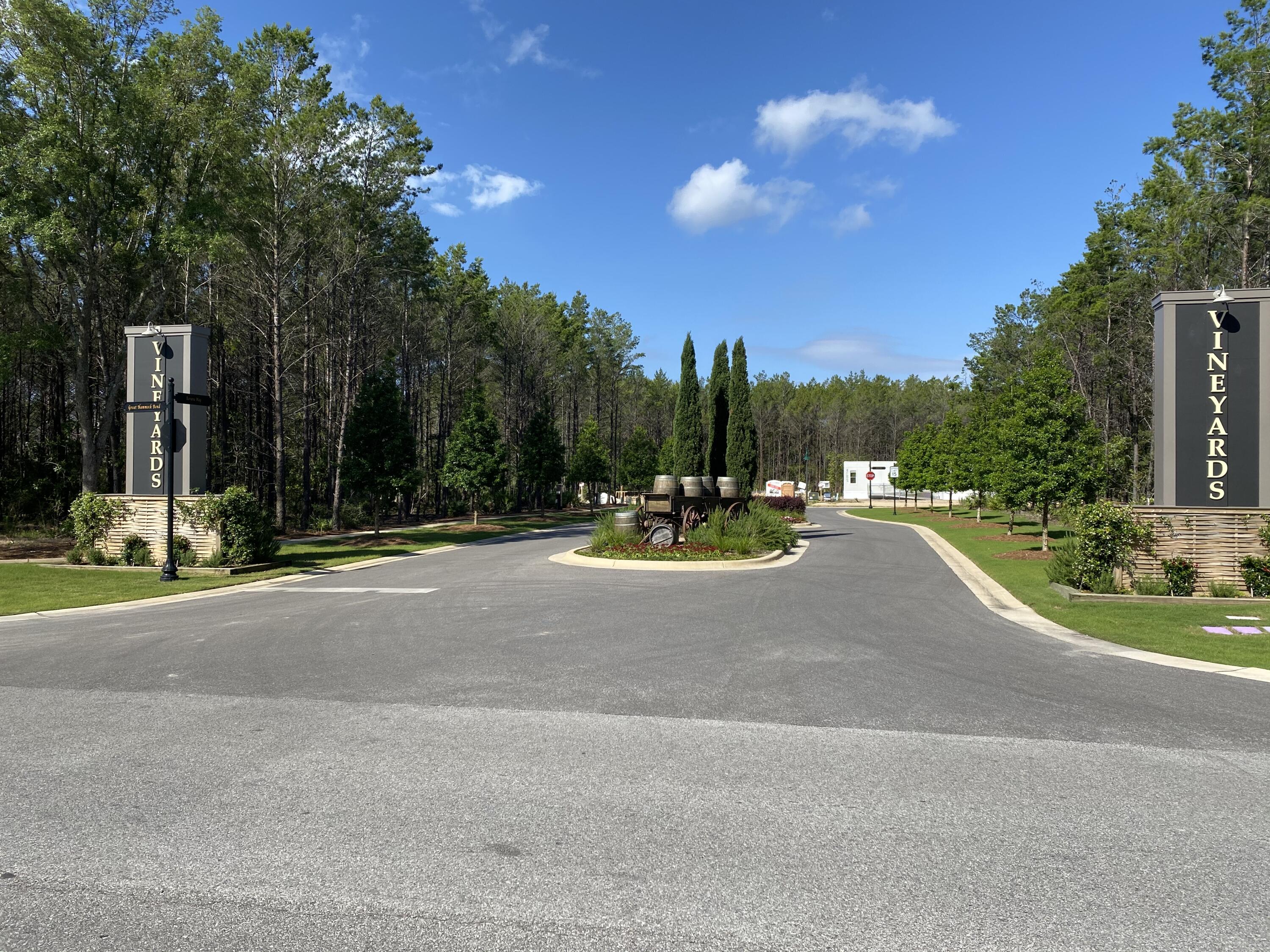 Vineyards at Hammock Bay - Residential