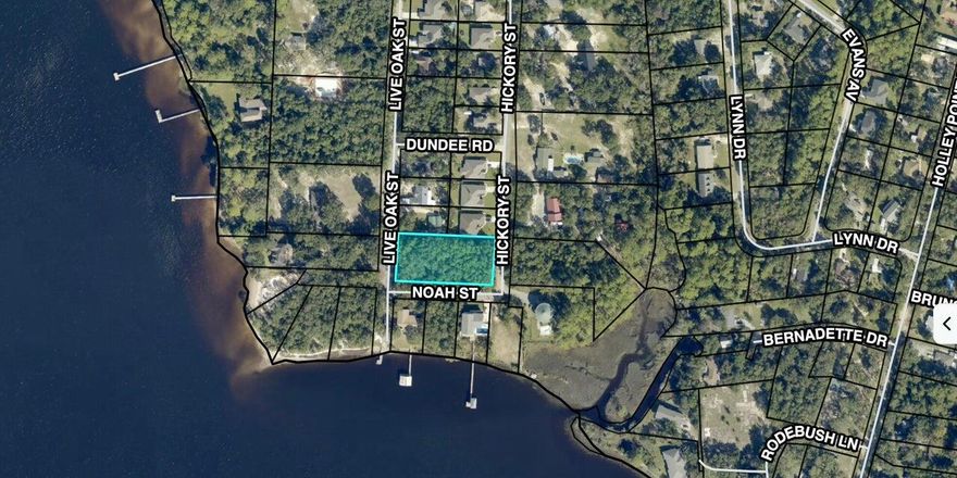 BUILD YOUR DREAM HOME!This beautiful .28 acre lot is located across the street from the water in Holley-Shores subdivision. Subdivision has shared waterfront access via boat launch & dock (located at the end of Live Oak St).