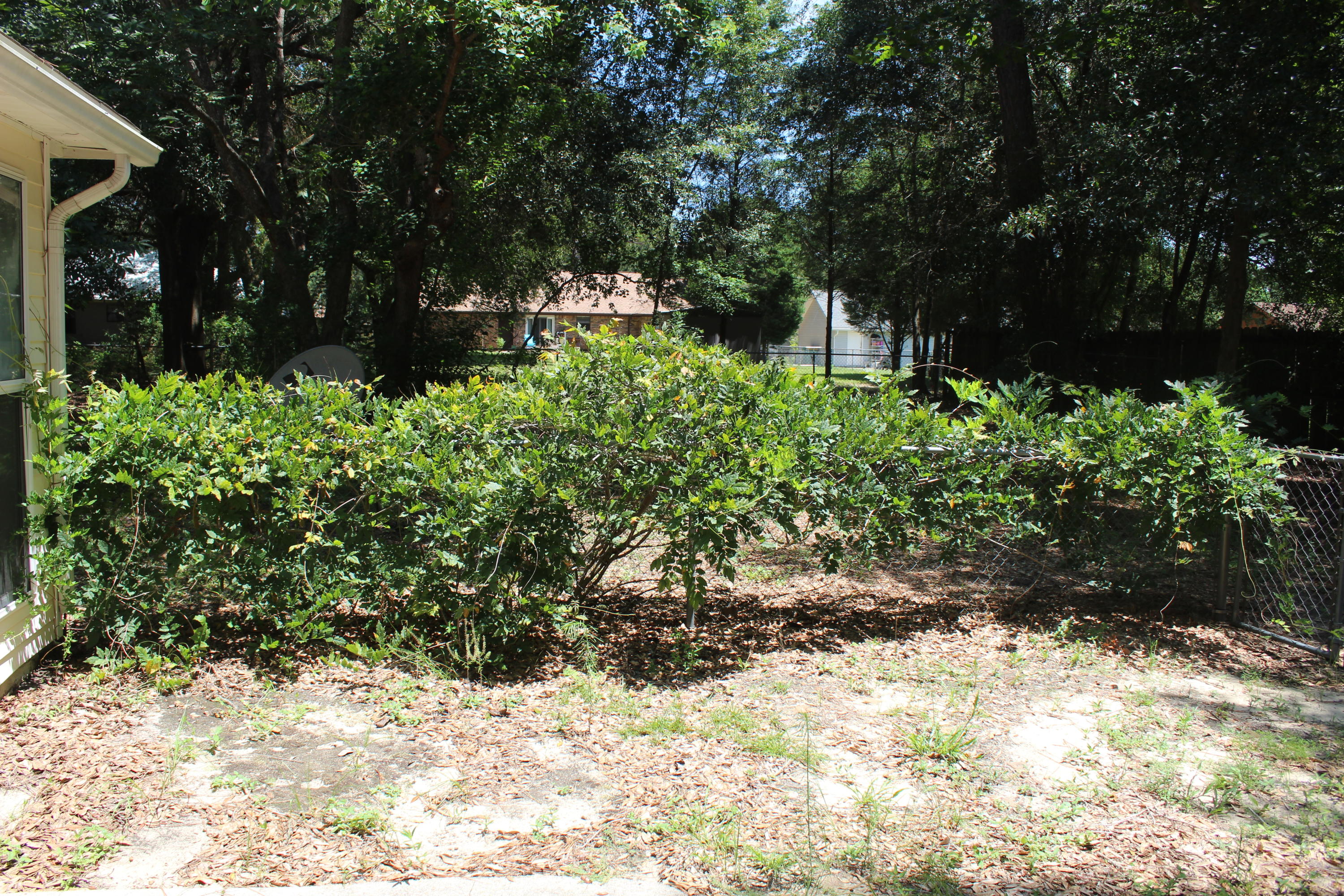 SHOAL CREEK MANOR - Residential