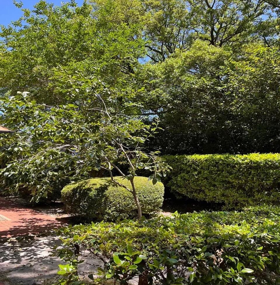 KENWOOD S/D - Residential