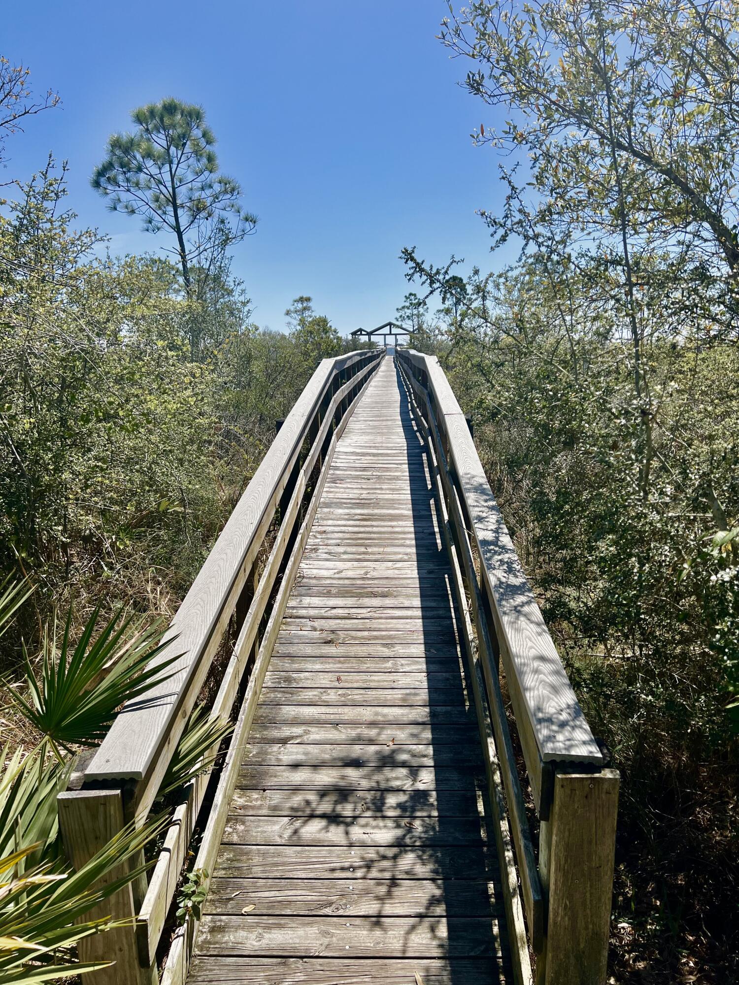 BISCAYNE POINTE - Residential