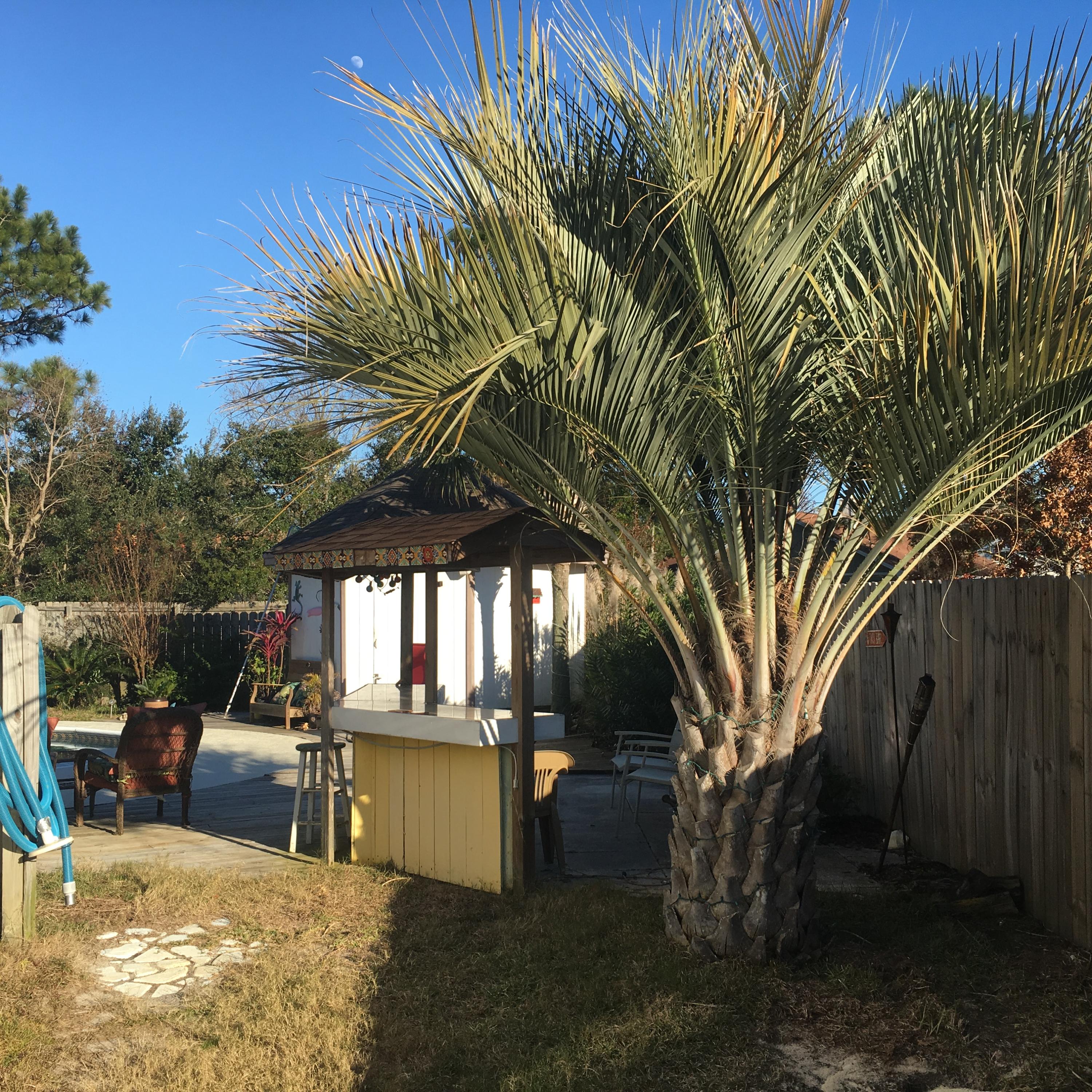 FOX DEN VILLAGES - Residential