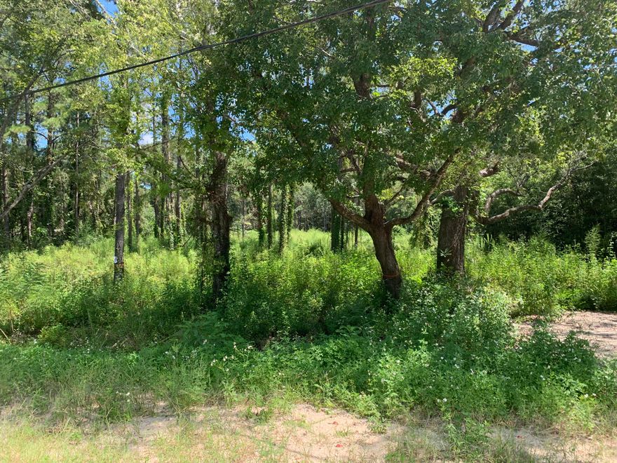 One acre lot in the fast growing city of Freeport, just 20 minutes to the beach. Live where you vacation!