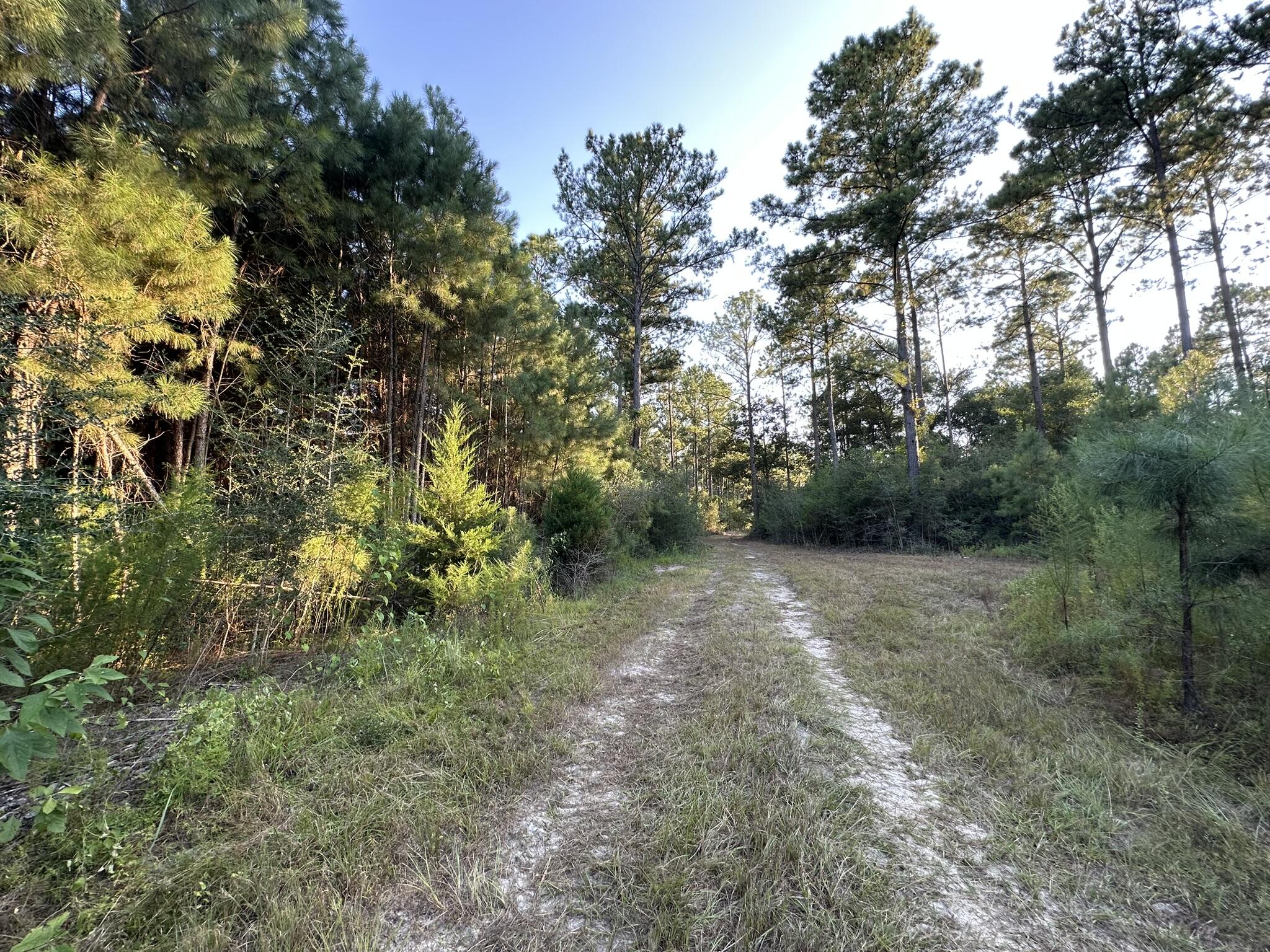 N/A - Farm