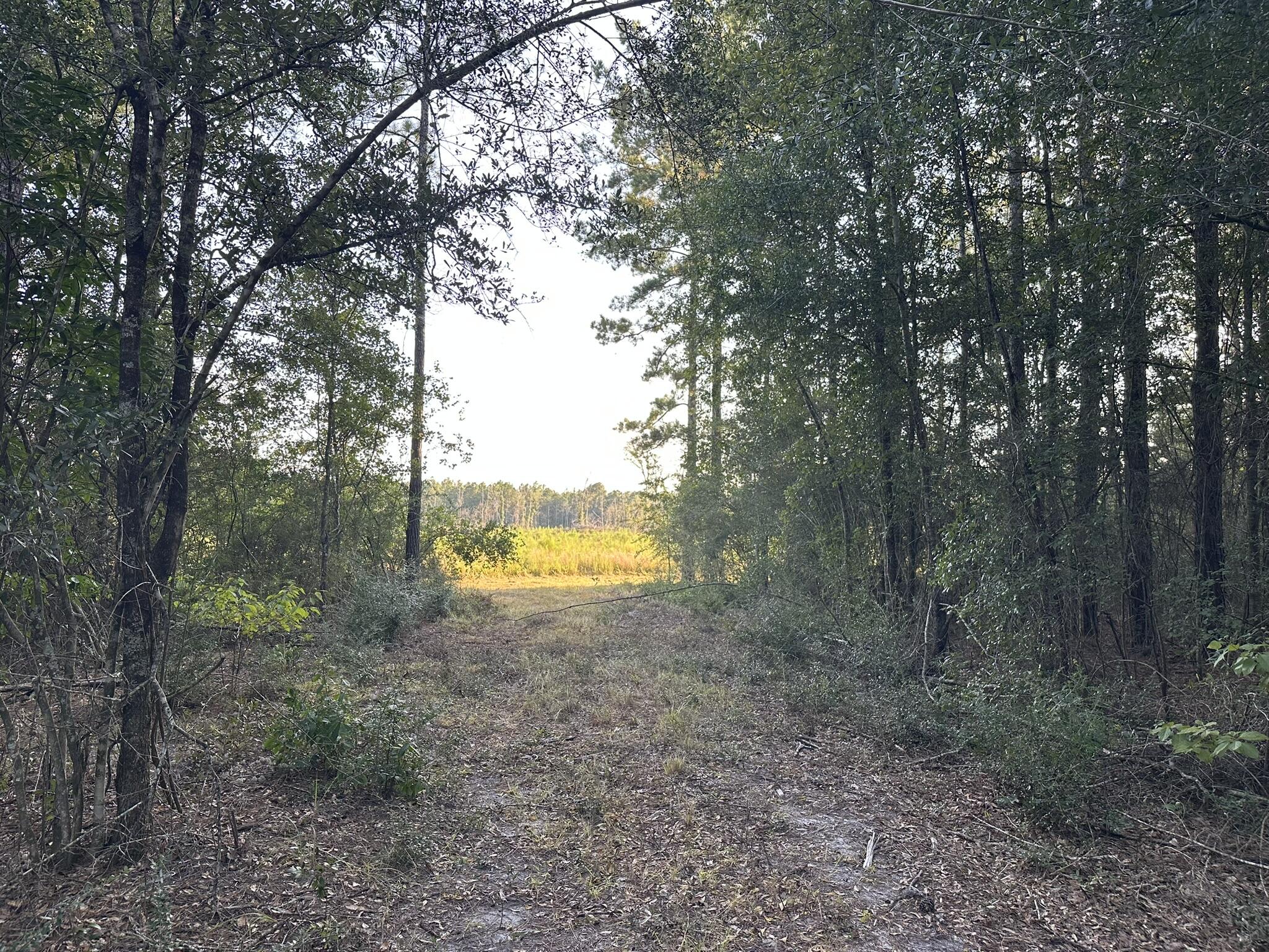 Tract#6201 Doyle Morgan Road