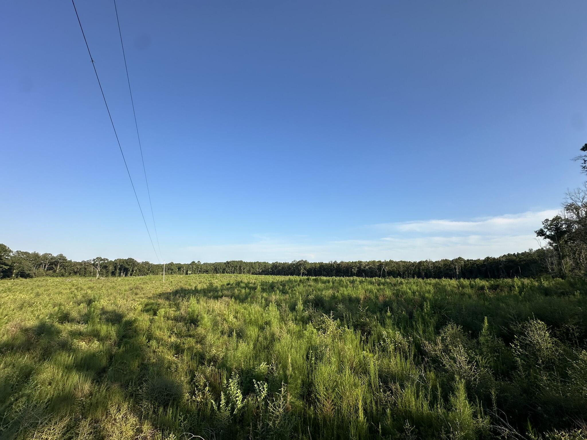 N/A - Farm
