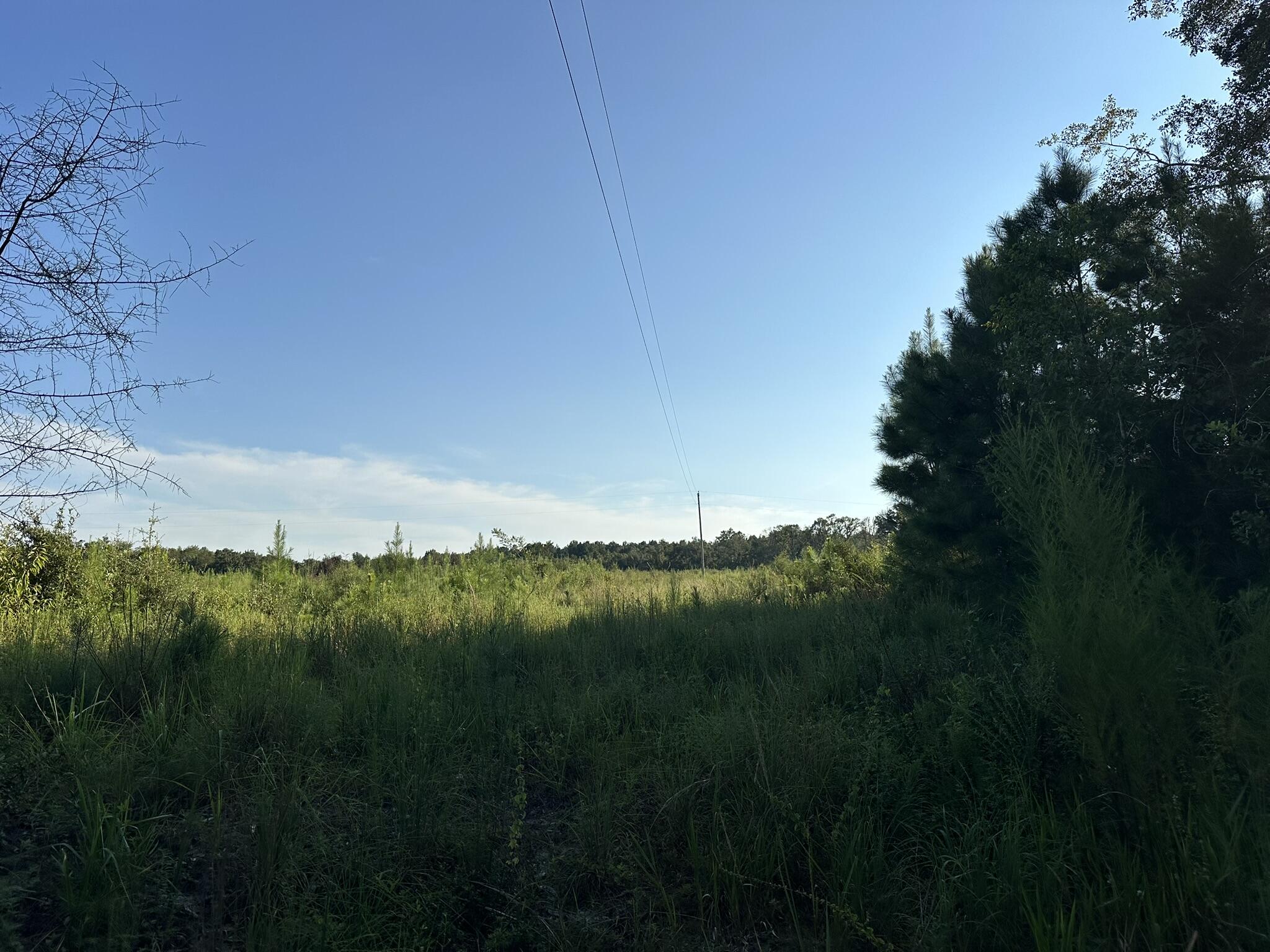 N/A - Farm