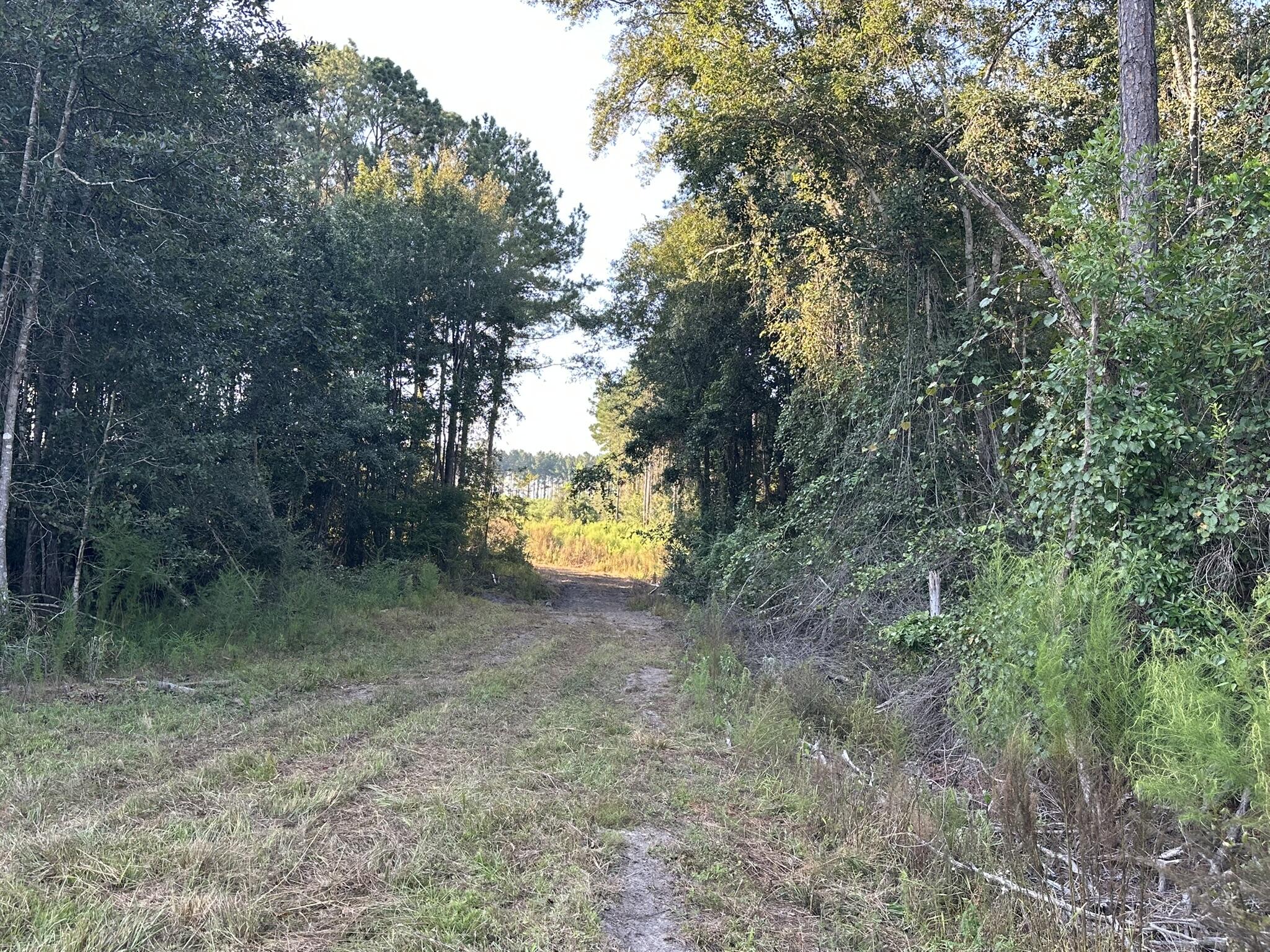 N/A - Farm