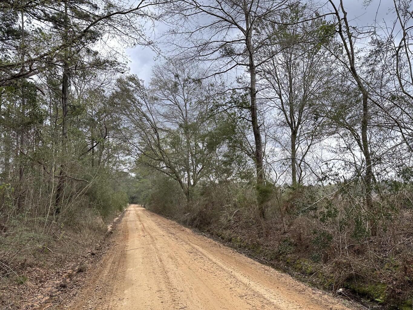 Potential for expansive 267.35+/- Acre Retreat!This impressive tract offers the space and flexibility to bring your vision to life. The possibilities are wide-ranging--create a private estate, working farm, recreational getaway, or hunting retreat.Access is available exclusively via Doyle Morgan Road along the Florida/Alabama line. The land is a mix of high and dry and beautiful 8 mile creek frontage, offers road frontage, and power is accessible from the road, making future plans more attainable.From wide-open space for building or agriculture to room for horses, hunting, or ATV riding, this property offers something for everyone seeking a large rural setting. With turkey season around the corner, sportsmen will also appreciate the natural appeal.Opportunities like this are rare.