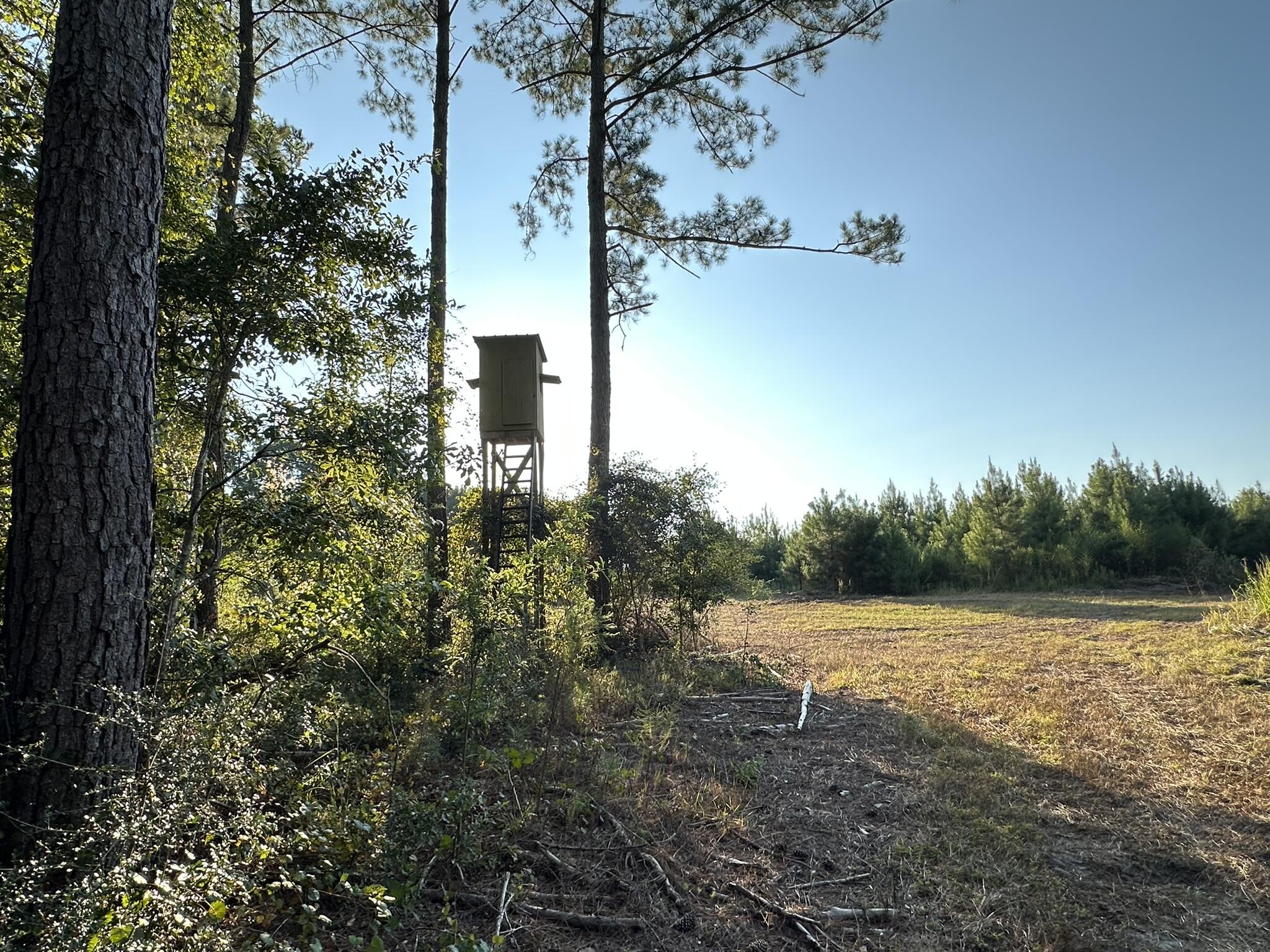 Tract#6201 Doyle Morgan Road