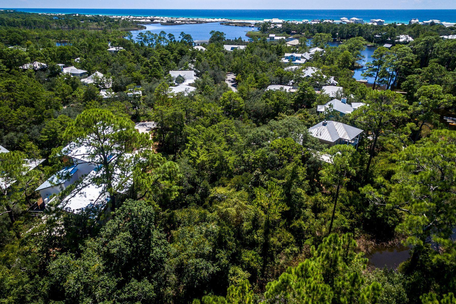 LAKEPLACE AT GRAYTON BEACH - Land